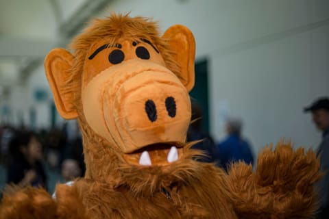 An ALF cosplayer.