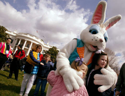 The lucky few Easter bunnies get called to the White House.