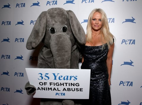 Anderson has been a vocal supporter of animal rights for many years. 