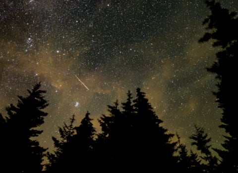 Perseid Meteor Shower