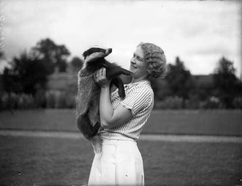 A woman and her pet badger.