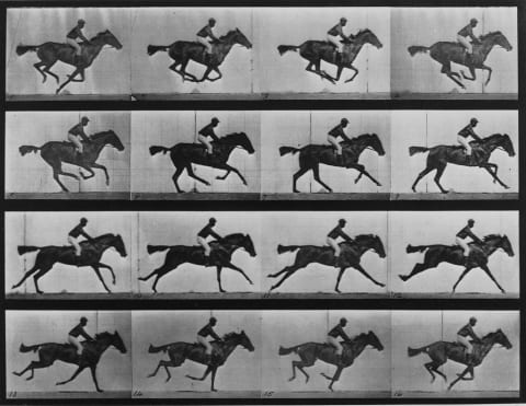 Motion of a Galloping Horse