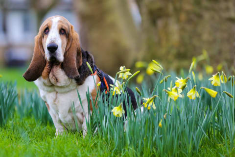 They’re really good at stopping to smell the flowers.