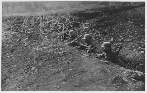 German Soldiers Erect Wire In Front Of Trench.