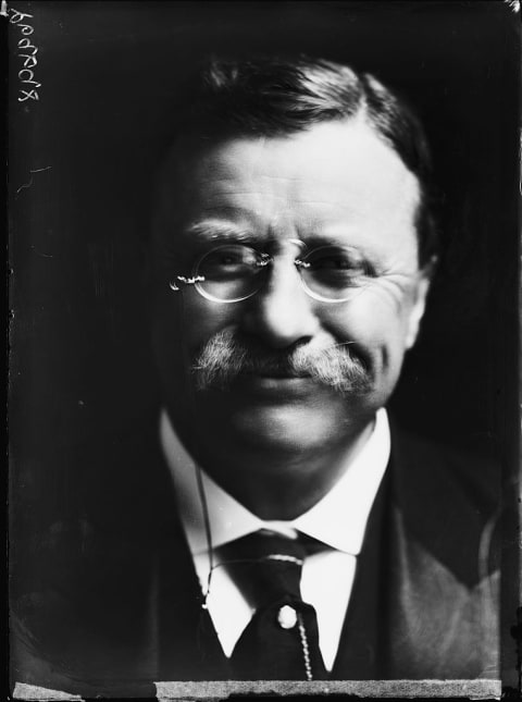 Theodore Roosevelt in 1910.