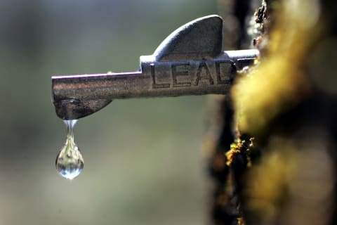 Sap falling out of a tap in a maple tree.