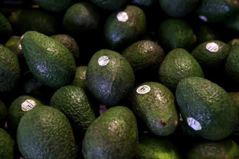 Avocados are a notoriously finicky fruit.