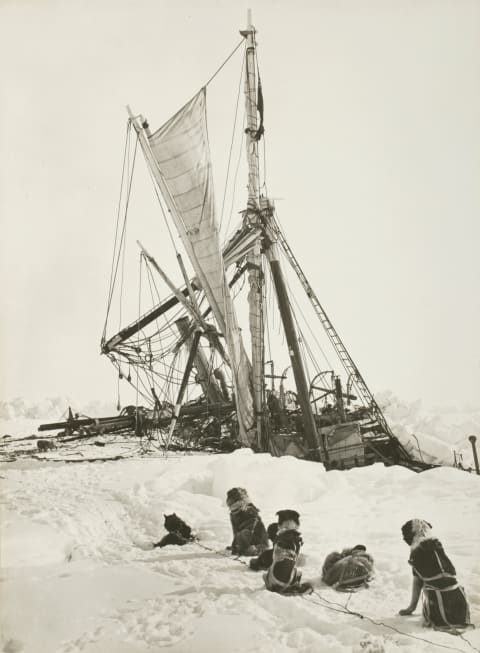 The 'Endurance' crushed by sea ice.