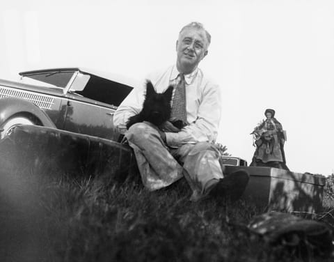 Franklin D. Roosevelt relaxing with his Scottish terrier Fala at Hyde Park. 