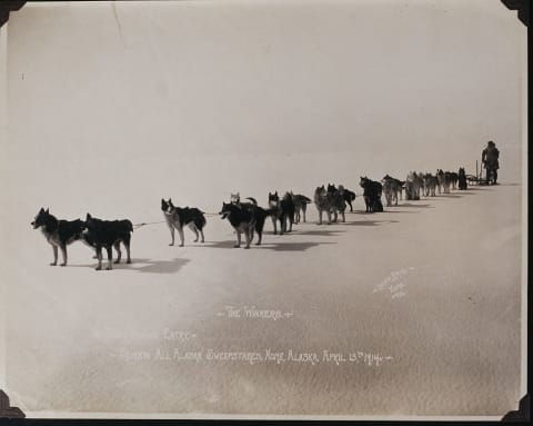 The winning entry of the Seventh All Alaska Sweepstakes, 1914.