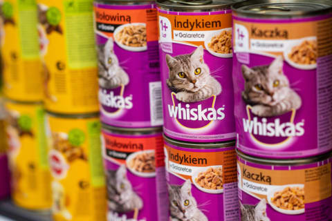 Cat food is more eco-friendly than dog food.