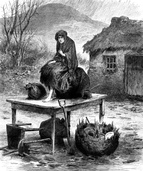 An Irish peasant girl guarding the family’s last few possessions, 1886.