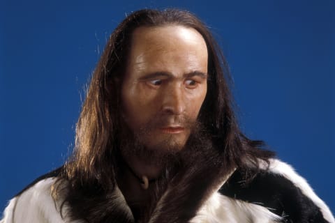 A reconstruction of what Ötzi may have looked like in life.