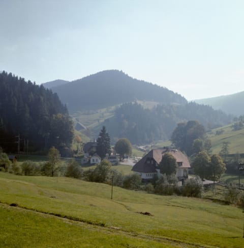 Germany’s Black Forest Valley.