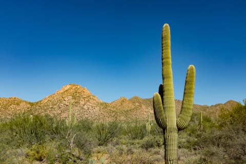 Hate daylight saving time? Head to Arizona.