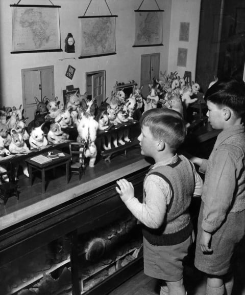 Children view the taxidermy work of Walter Potter circa 1950.