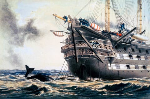 H.M.S. 'Agamemnon' lays the original Atlantic Telegraph cable in 1857. 