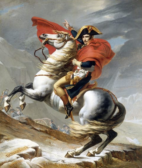 Napoleon probably didn't look this brave when he was being attacked by rabbits.