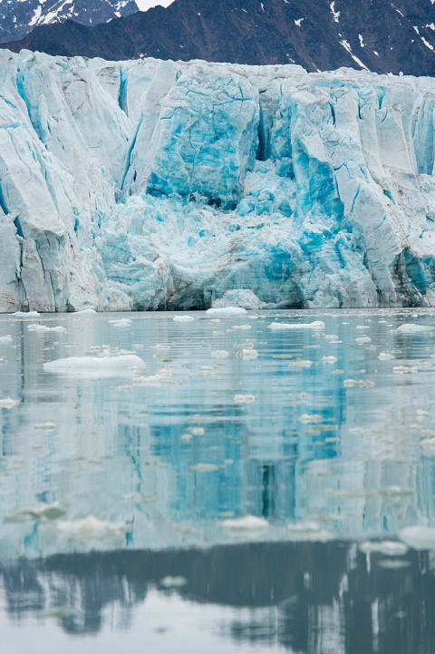 A glacier meets the sea in the Arctic.