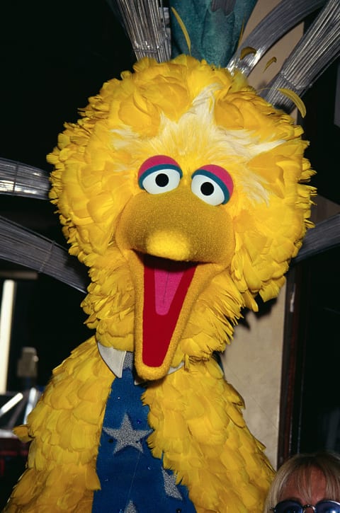 Big Bird is one of the elements that appeal to kids on 'Sesame Street.'