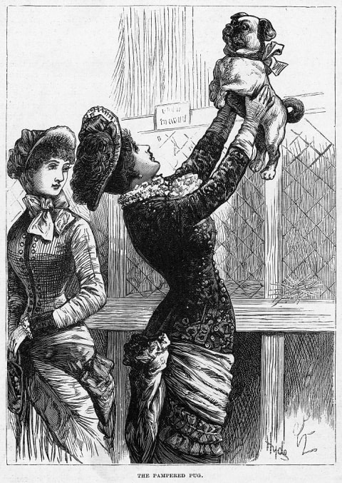 Victorian women admiring a pug.