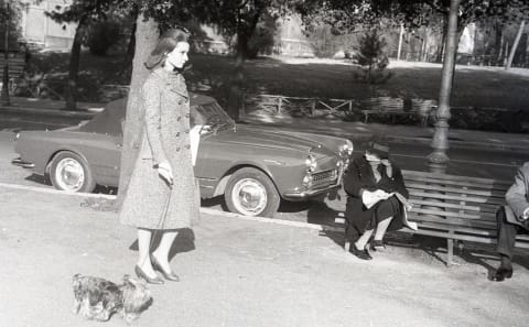 Audrey Hepburn walking with her Yorkie in 1959.