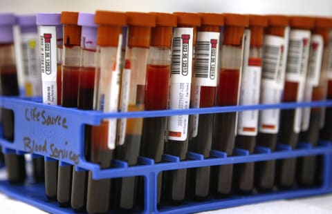 Blood contained in test tubes at a blood bank.