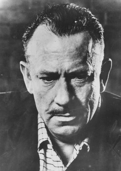 The face John Steinbeck might have made when he found out he was being audited.