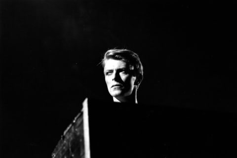 David Bowie