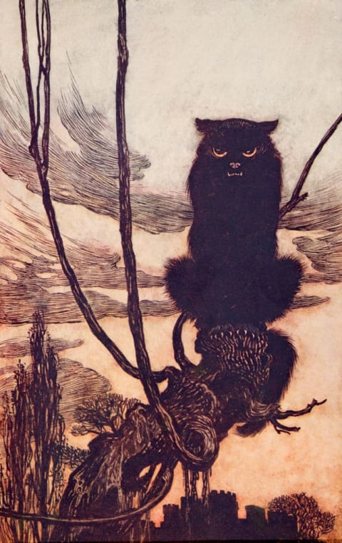 In some cultures, even a grumpy-looking black cat could bring good tidings.