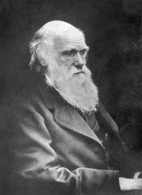 Charles Darwin, British naturalist.