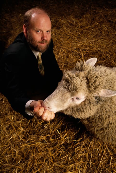 Dr. Ian Wilmut feeds Dolly the sheep.