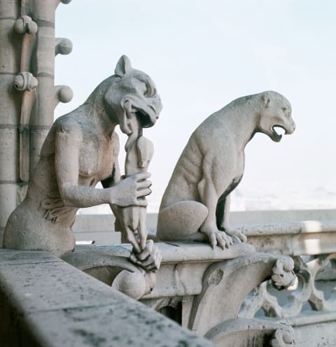 Detail of two gargoyles at Notre-Dame Cathedral