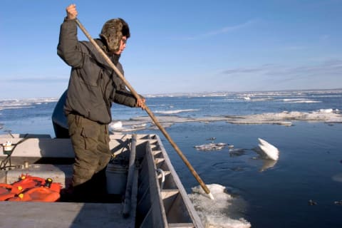 Iñupiat hunter Herbert Nayokpuk pushes floating ice away from his boat during the traditional spring seal hunt near Shishmaref, Alaska.