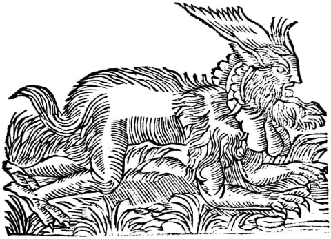 An illustration of lycanthropy from ‘Historiae animalum’ by Conrad Gesner.