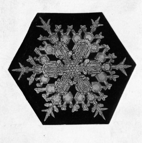 Close-up of a snowflake that may or may not have been a clart.