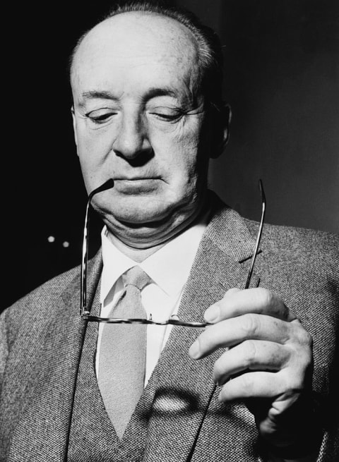 Vladimir Nabokov.