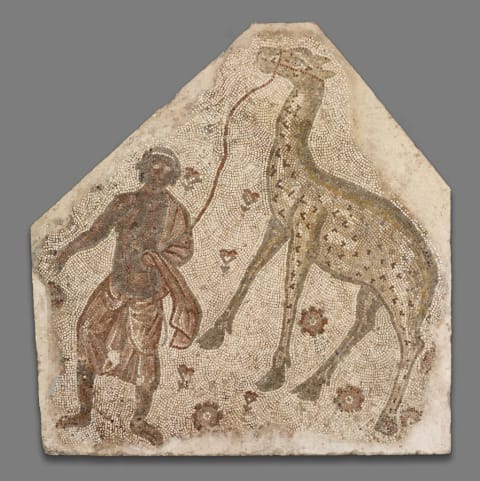 A fragment of a mosaic shows a man leading a giraffe.