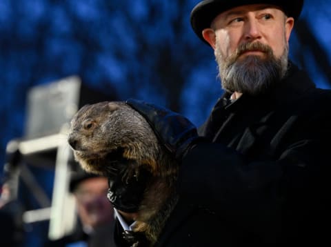 Don't worry, the groundhog can't actually predict a long winter.