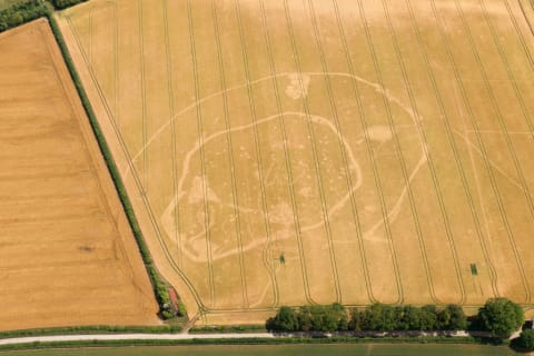 An Iron Age double-ditched enclosure crop mark revealed by a dry spell in England.