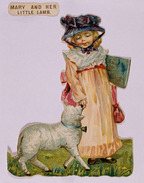 Mary and her famous lamb.