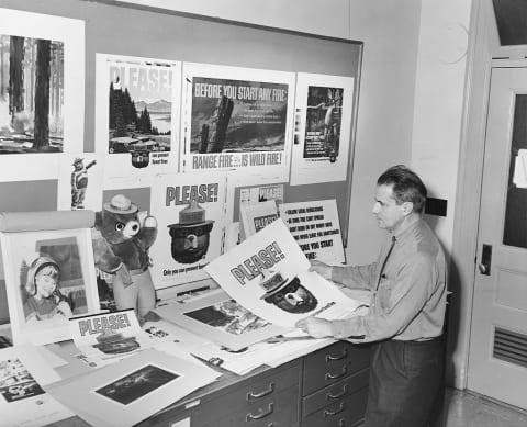 A Forest Service ranger with Smokey Bear posters.