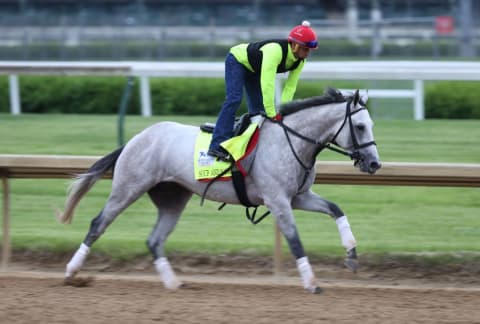 Soup and Sandwich in the Kentucky Derby previews in 2021.