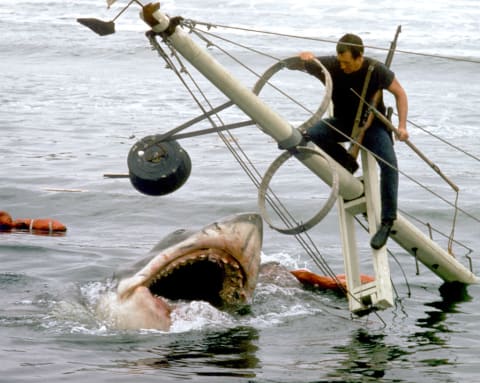 'Jaws' was in the works as a film before the book was published.