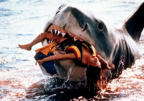 Peter Benchley injected a little too much levity in 'Jaws.'