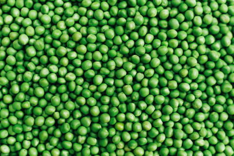 ‘Pease,’ a non-count noun, came before the singular ‘pea.’