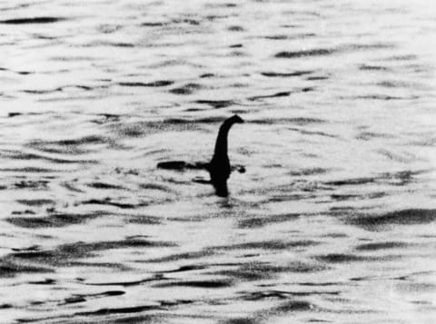 The Loch Ness Monster. (Maybe.)