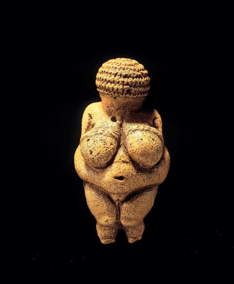 The Venus of Willendorf, a 11-centimeter-tall limestone figurine of a woman dating to 29,500 years ago. It was discovered in Willendorf, Austria, in 1908.