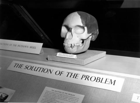 The skull of Piltdown Man.