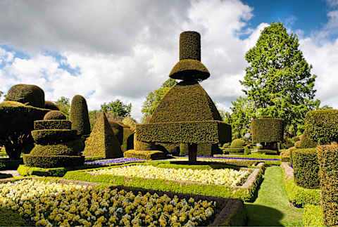 Topiary At Levens Hall.